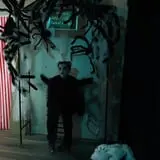 Freak Show Haunted Maze 2019