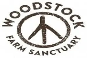 HalloWoodstock
