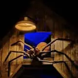 The 13th Realm photo