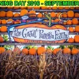 The Great Pumpkin Farm photo