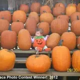 The Great Pumpkin Farm photo