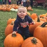 The Great Pumpkin Farm photo