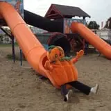 The Great Pumpkin Farm photo