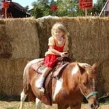 The Great Pumpkin Farm photo