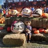 The Great Pumpkin Farm photo