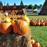 The Great Pumpkin Farm photo