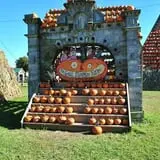 The Great Pumpkin Farm photo