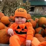 The Great Pumpkin Farm photo