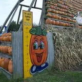 The Great Pumpkin Farm photo