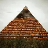 The Great Pumpkin Farm photo