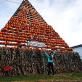 The Great Pumpkin Farm photo