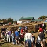 The Great Pumpkin Farm photo