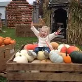 The Great Pumpkin Farm photo