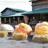 The Great Pumpkin Farm photo