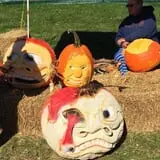 The Great Pumpkin Farm photo
