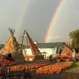 The Great Pumpkin Farm photo