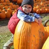 The Great Pumpkin Farm photo