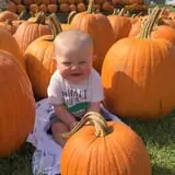 The Great Pumpkin Farm photo