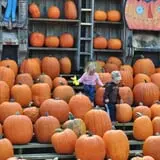 The Great Pumpkin Farm photo