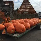 The Great Pumpkin Farm photo