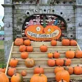 The Great Pumpkin Farm photo