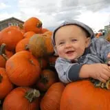 The Great Pumpkin Farm photo