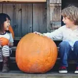 The Great Pumpkin Farm photo