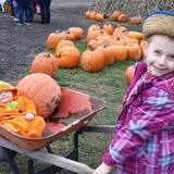 The Great Pumpkin Farm photo