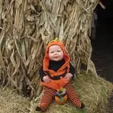 The Great Pumpkin Farm photo