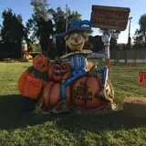 The Great Pumpkin Farm photo
