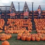 The Great Pumpkin Farm photo