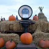 The Great Pumpkin Farm photo