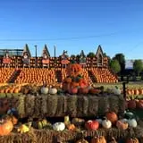 The Great Pumpkin Farm photo