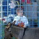 The Great Pumpkin Farm photo
