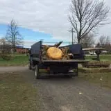 The Great Pumpkin Farm photo