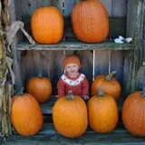 The Great Pumpkin Farm photo