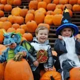 The Great Pumpkin Farm photo