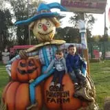 The Great Pumpkin Farm photo