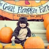 The Great Pumpkin Farm photo