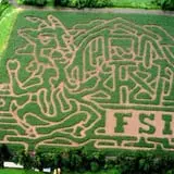 The Great Pumpkin Farm photo