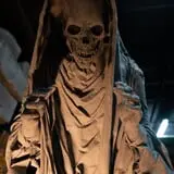 Disturbia Haunted House photo
