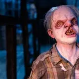 Disturbia Haunted House photo