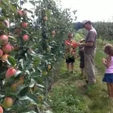Whittier Fruit Farm photo