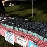 Whittier Fruit Farm photo
