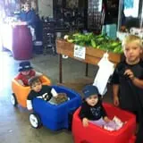 Whittier Fruit Farm photo