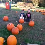 Sunny Acres Farm Pumpkin Festival photo