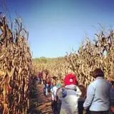 Sunny Acres Farm Pumpkin Festival photo