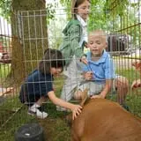 Sunny Acres Farm Pumpkin Festival photo