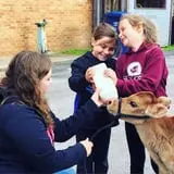 Sunny Acres Farm Pumpkin Festival photo
