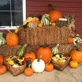 Sunny Acres Farm Pumpkin Festival photo